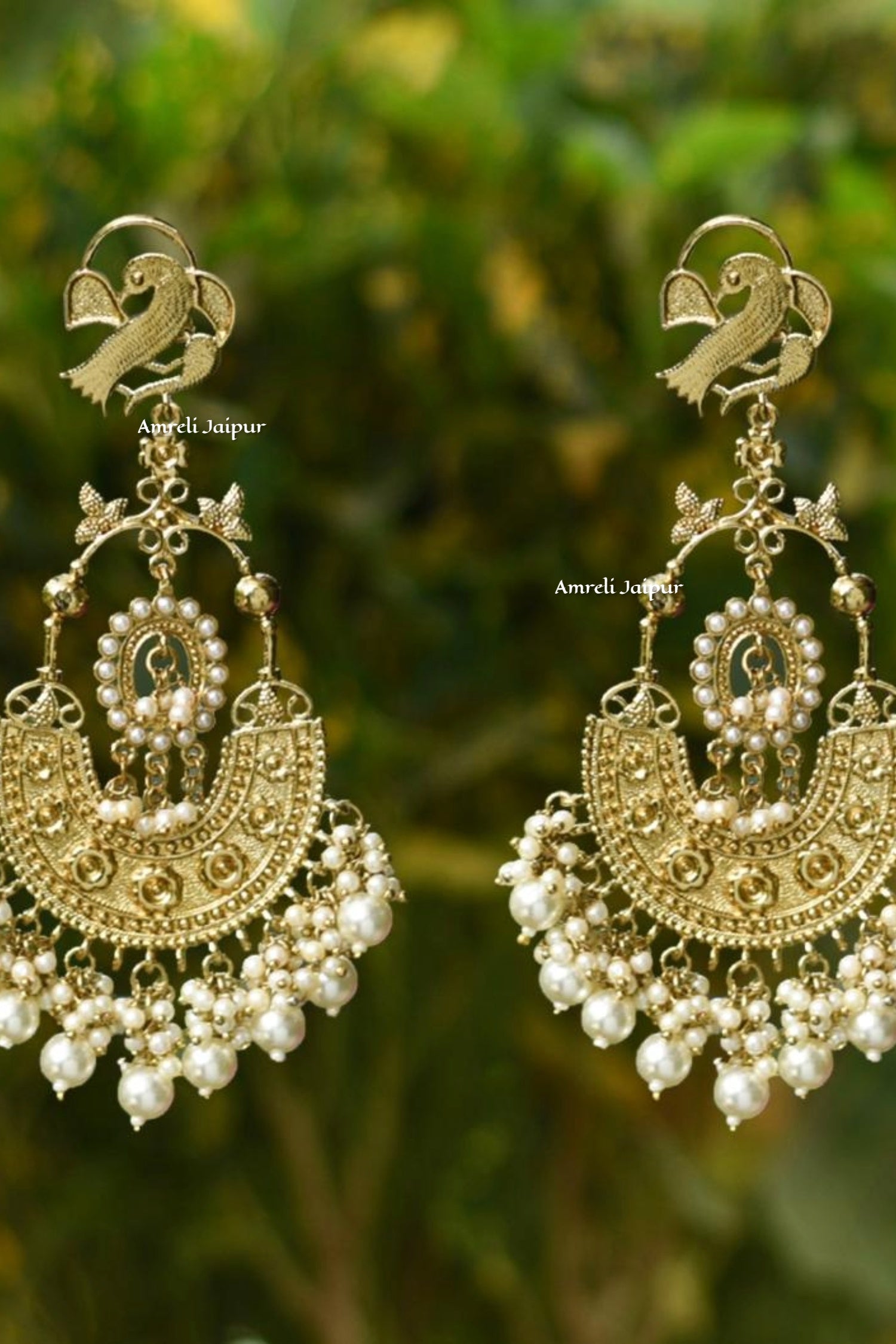 Dilbaroo Gold Earrings